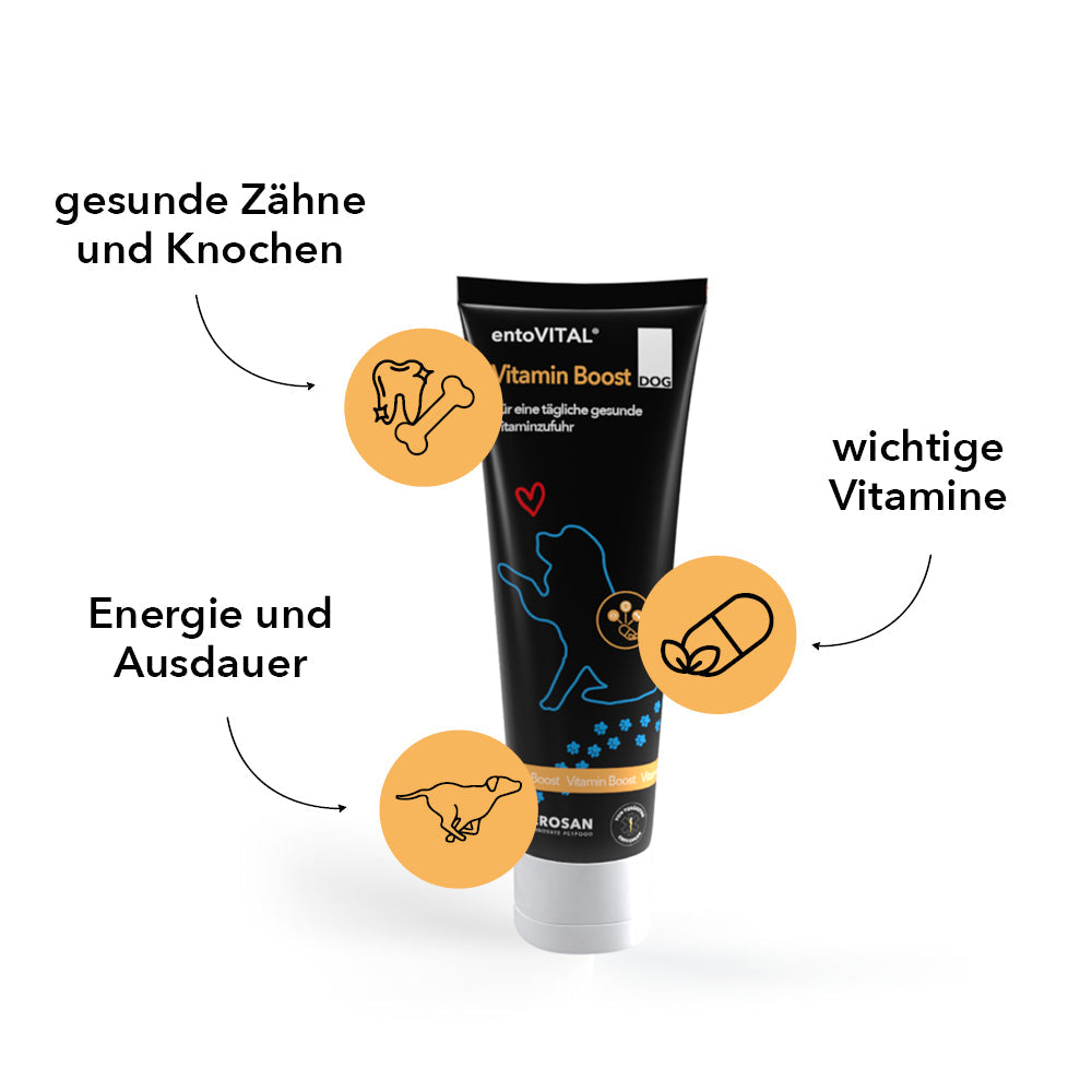 Tube entoVITAL DOG Vitamin Boost mit drei Merkmalen: gesunde Zähne und Knochen, Energie und Ausdauer, wichtige Vitamine