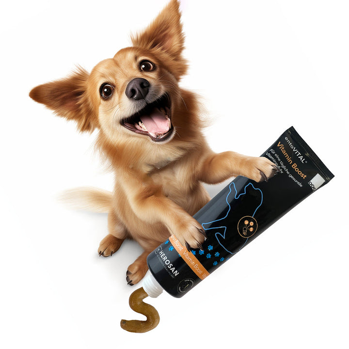 Werbemotiv: ein kleiner heller Hund hält eine überdimensionale Tube entoVITAL DOG Vitamin Boost, aus der die Paste quillt