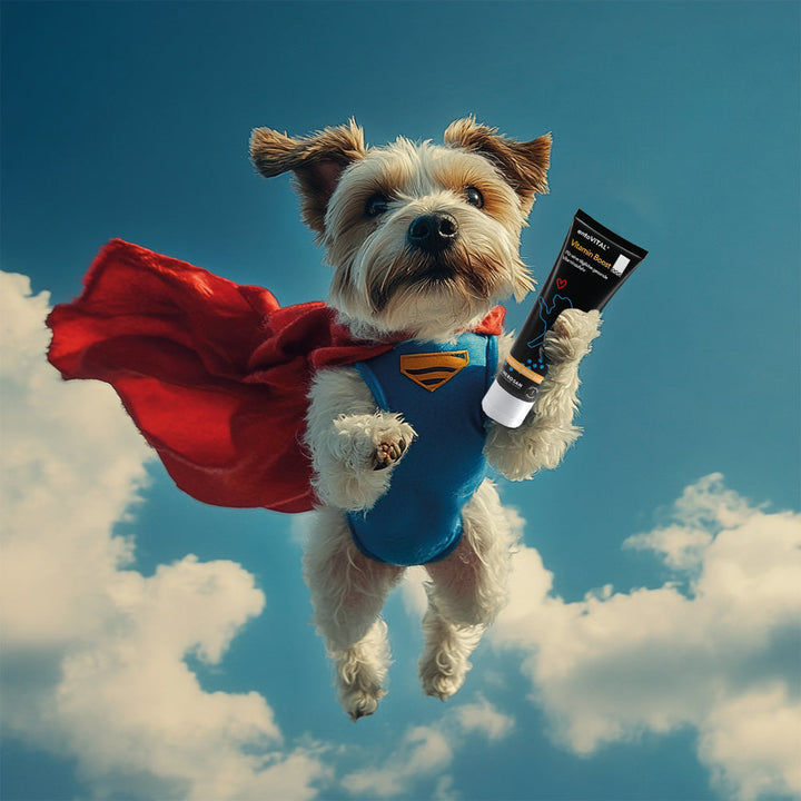 Werbemotiv: ein Yorkshire Terrier im Superheldenkostüm mit rotem Umhang fliegt durch den Himmel und hält eine Tube entoVITAL DOG Vitamin Boost