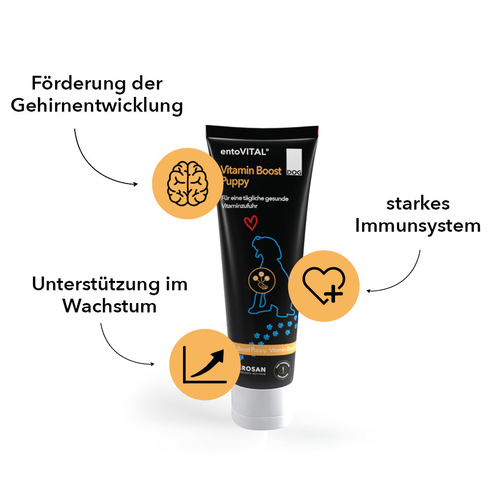 Tube entoVITAL DOG Vitamin Boost Puppy mit drei Merkmalen: Förderung der Gehirnentwicklung, starkes Immunsystem, Unterstützung im Wachstum