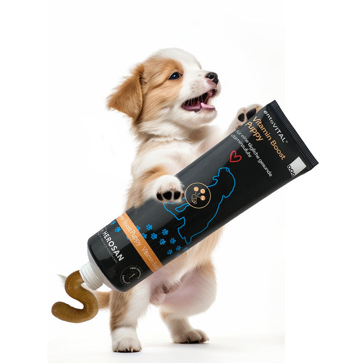 Werbemotiv: ein weiss-brauner Welpe hält eine überdimensionale Tube entoVITAL DOG Vitamin Boost Puppy, aus der die Paste quillt