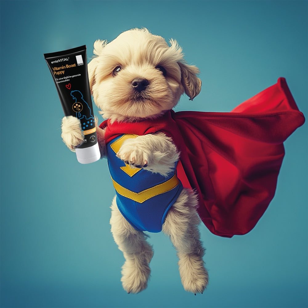 Werbemotiv: ein heller Welpe im Superheldenkostüm mit rotem Umhang fliegt durch den Himmel und hält eine Tube entoVITAL DOG Vitamin Boost Puppy