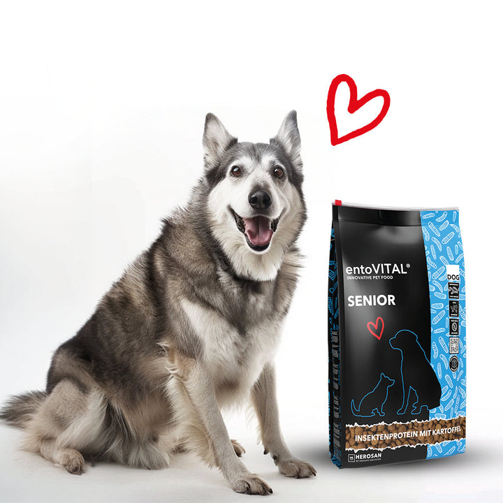 Älterer grau-weisser Hund sitzt neben einem Sack entoVITAL DOG SENIOR, darüber ein rotes Herz