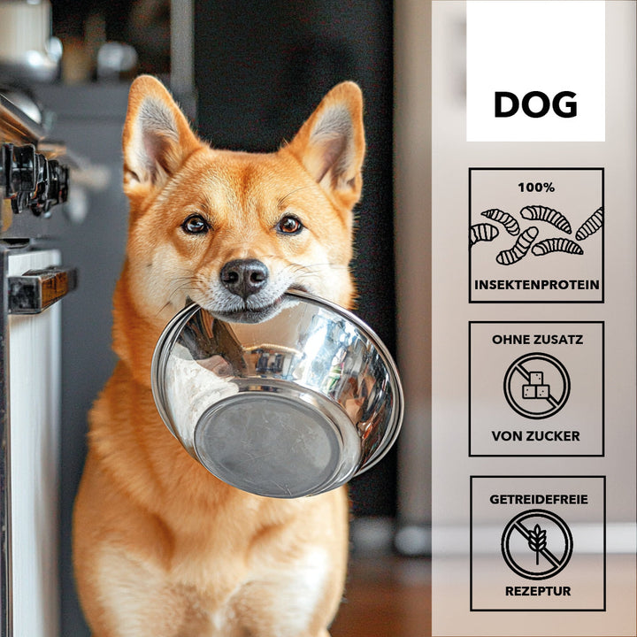 Shiba Inu hält einen Edelstahlnapf im Maul, daneben die Merkmale: 100 Prozent Insektenprotein, ohne Zusatz von Zucker, getreidefreie Rezeptur