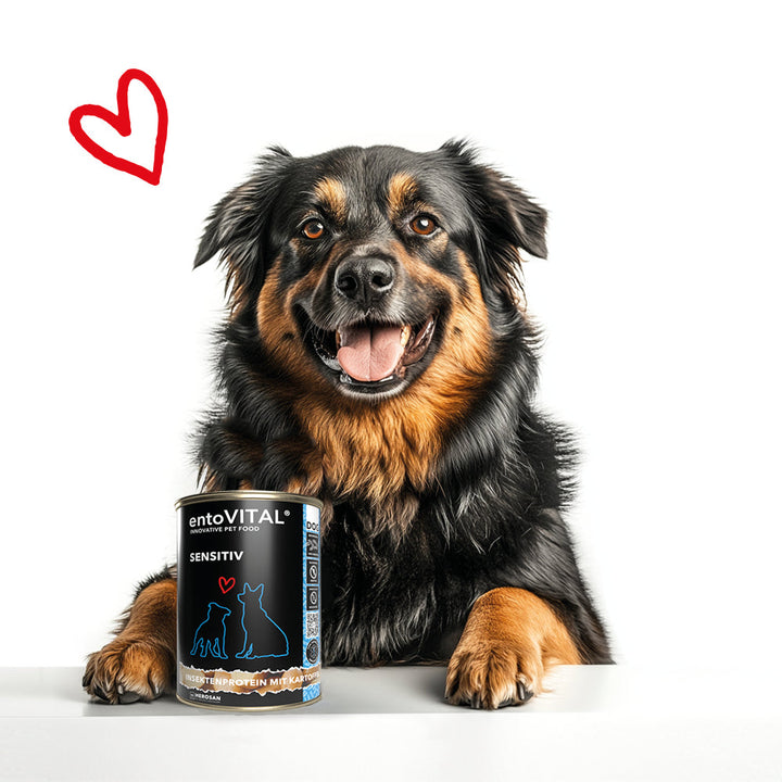Schwarz-brauner Hund liegt hinter einer Dose entoVITAL DOG SENSITIV Nassfutter, daneben ein rotes Herz