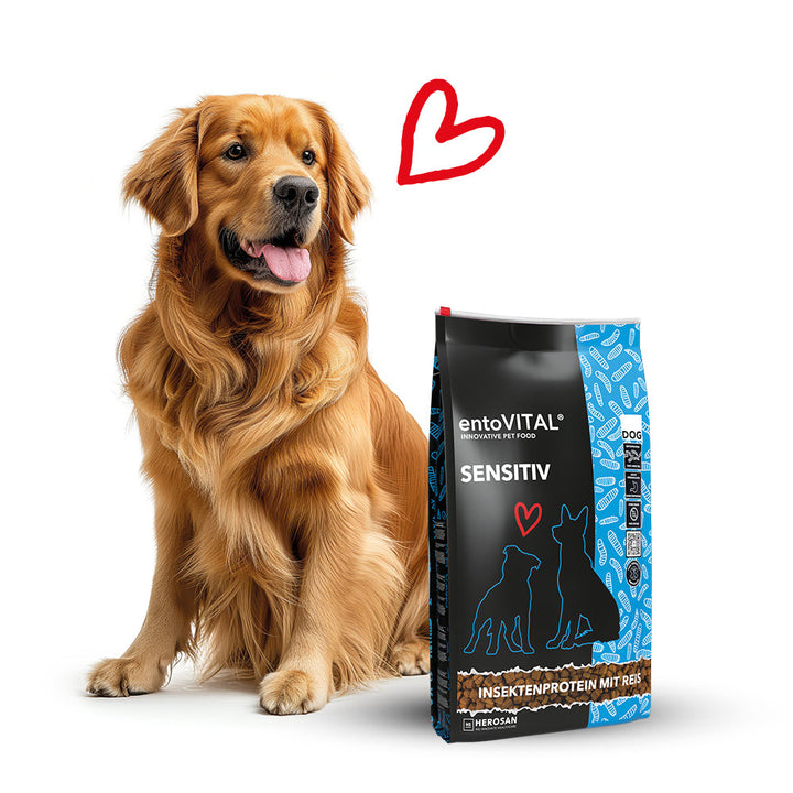 Golden Retriever sitzt neben einem Sack entoVITAL DOG SENSITIV, darüber ein rotes Herz