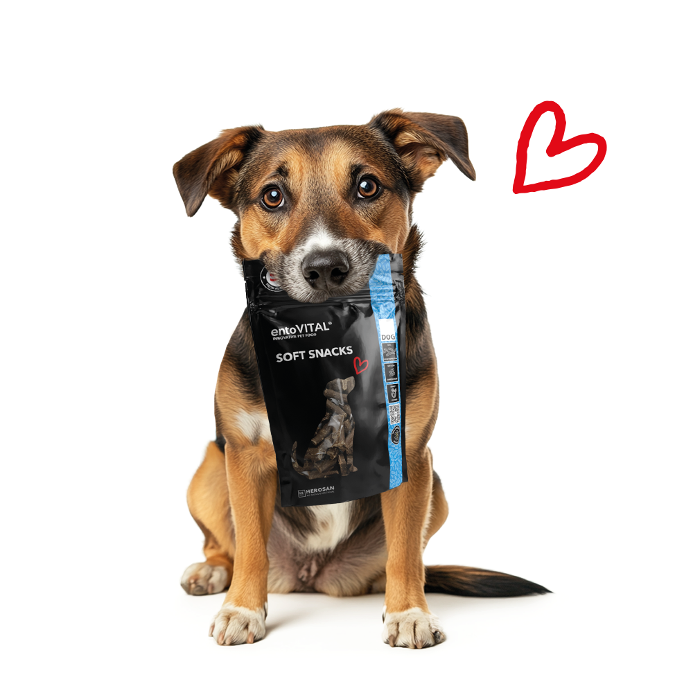 Braun-schwarzer Mischlingshund hält einen Beutel entoVITAL DOG Soft Snacks im Maul, daneben ein rotes Herz