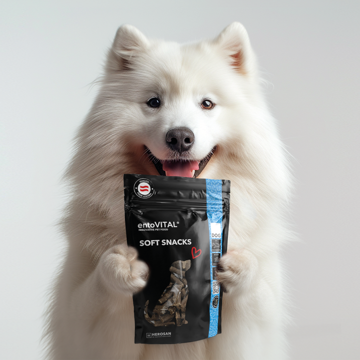Weisser Spitz hält aufrecht einen Beutel entoVITAL DOG Soft Snacks zwischen den Pfoten