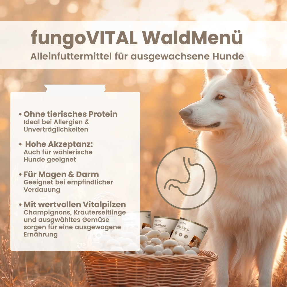 fungoVITAL WaldMenü Nassfutter im Überblick: ohne tierisches Protein, hohe Akzeptanz, für Magen und Darm, mit Champignons und Kräuterseitlingen