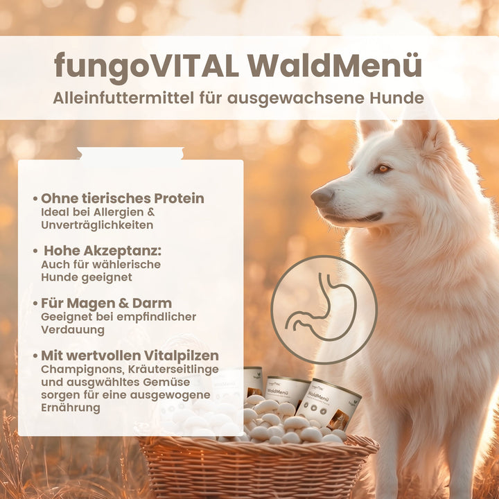 fungoVITAL WaldMenü Nassfutter im Überblick: ohne tierisches Protein, hohe Akzeptanz, für Magen und Darm, mit Champignons und Kräuterseitlingen