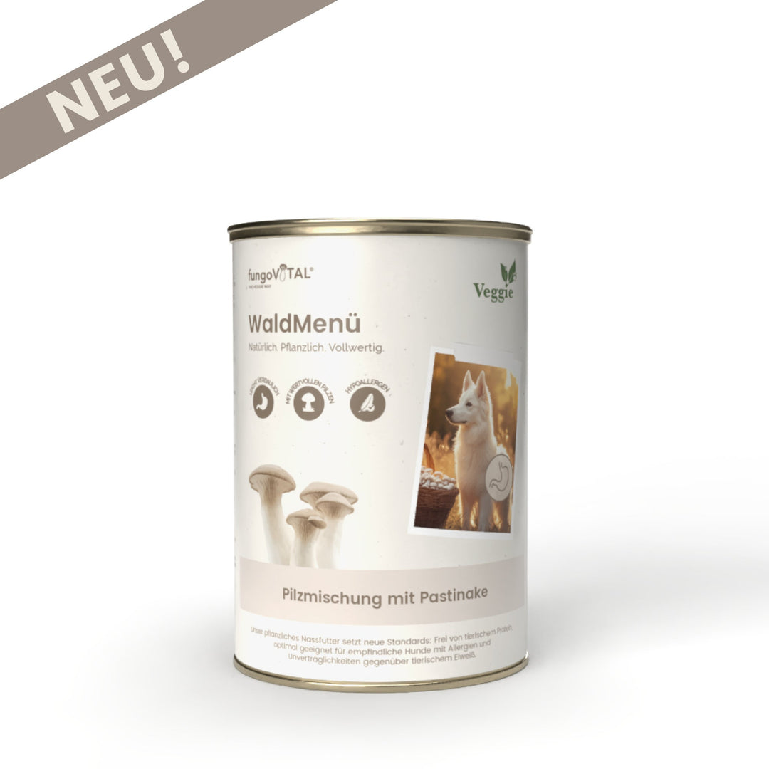 Dose fungoVITAL WaldMenü Nassfutter, Pilzmischung mit Pastinake für Hunde, freigestellt