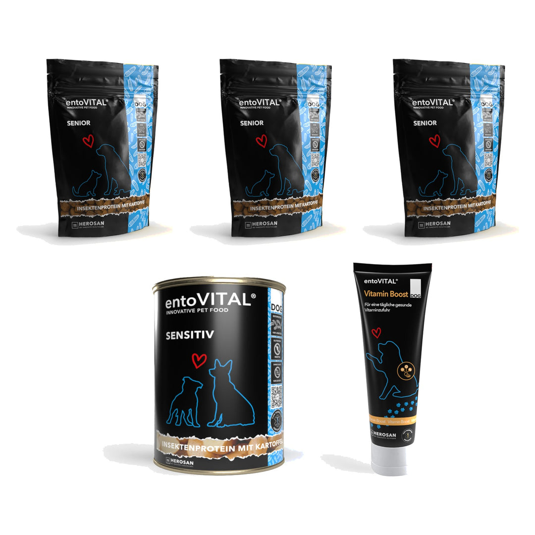 Inhalt der Testbox Hund Senior: drei Probierbeutel entoVITAL DOG SENIOR, eine Dose Nassfutter SENSITIV und eine Tube Vitamin Boost